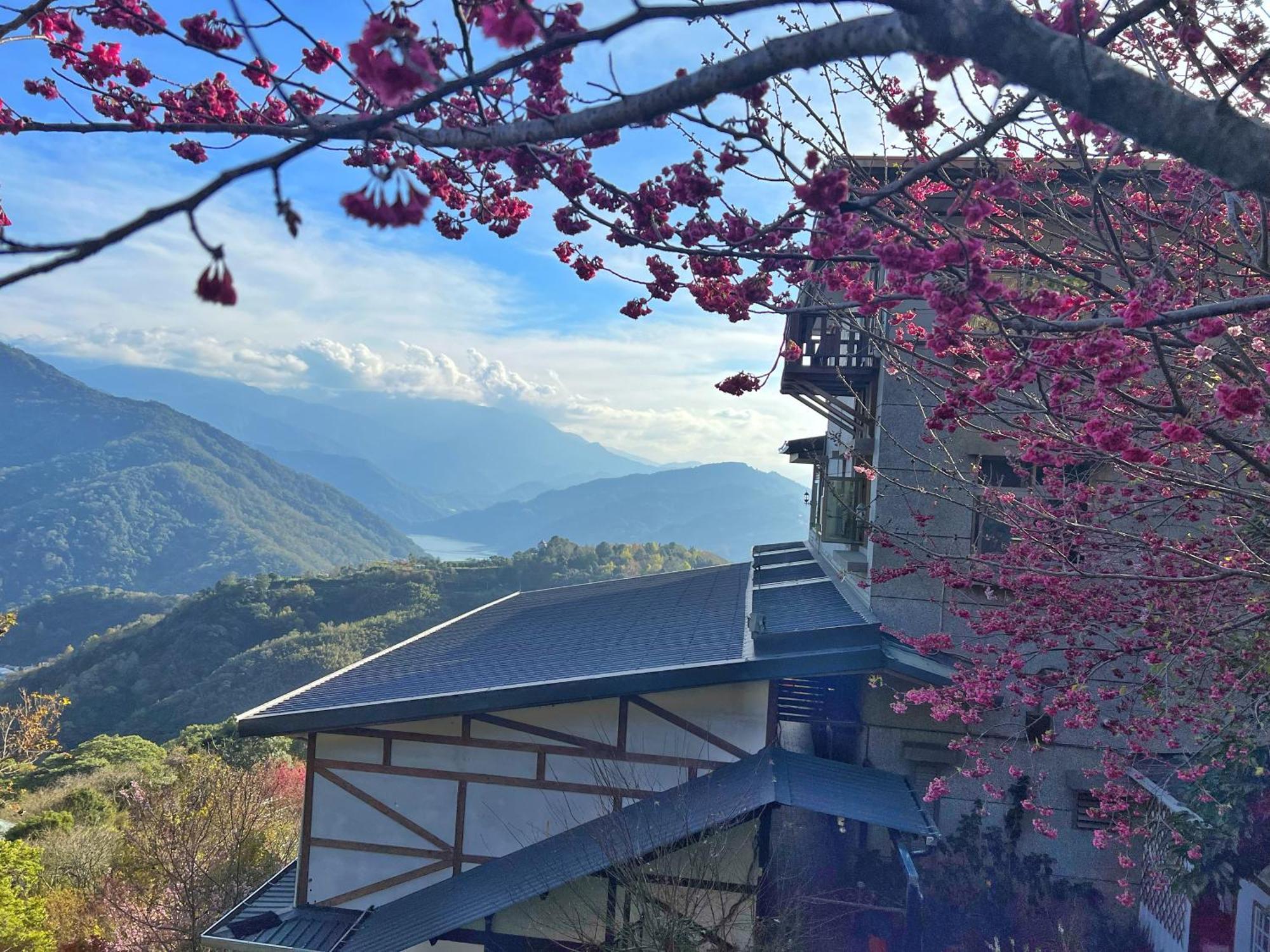 Tian Hsiang Tea B&B Nhân Ái Ngoại thất bức ảnh